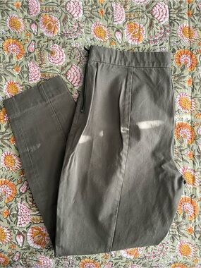 Everlane Pixie Pants